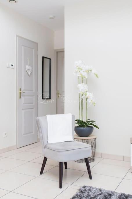 Ravissante Maison Cosy 4* Biscarrosse Proche Lac מראה חיצוני תמונה
